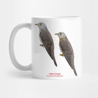 Indian Cuckoo | Cuculus micropterus ⚥ Mug